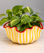 Vaso Línea Baixo Amarelo com Vermelho