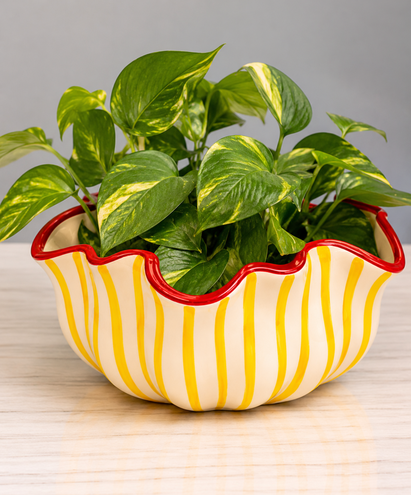 Vaso Línea Baixo Amarelo com Vermelho